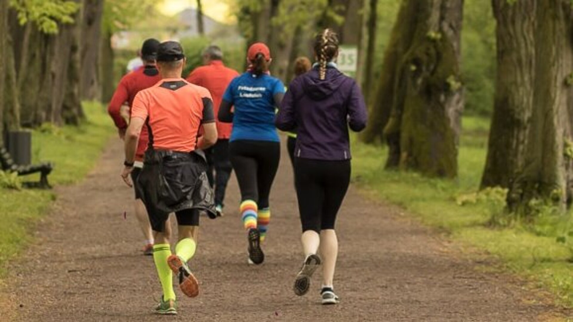 BMW BERLIN-MARATHON MOVE: Laufgruppe durchquert eine Allee © SCC Events