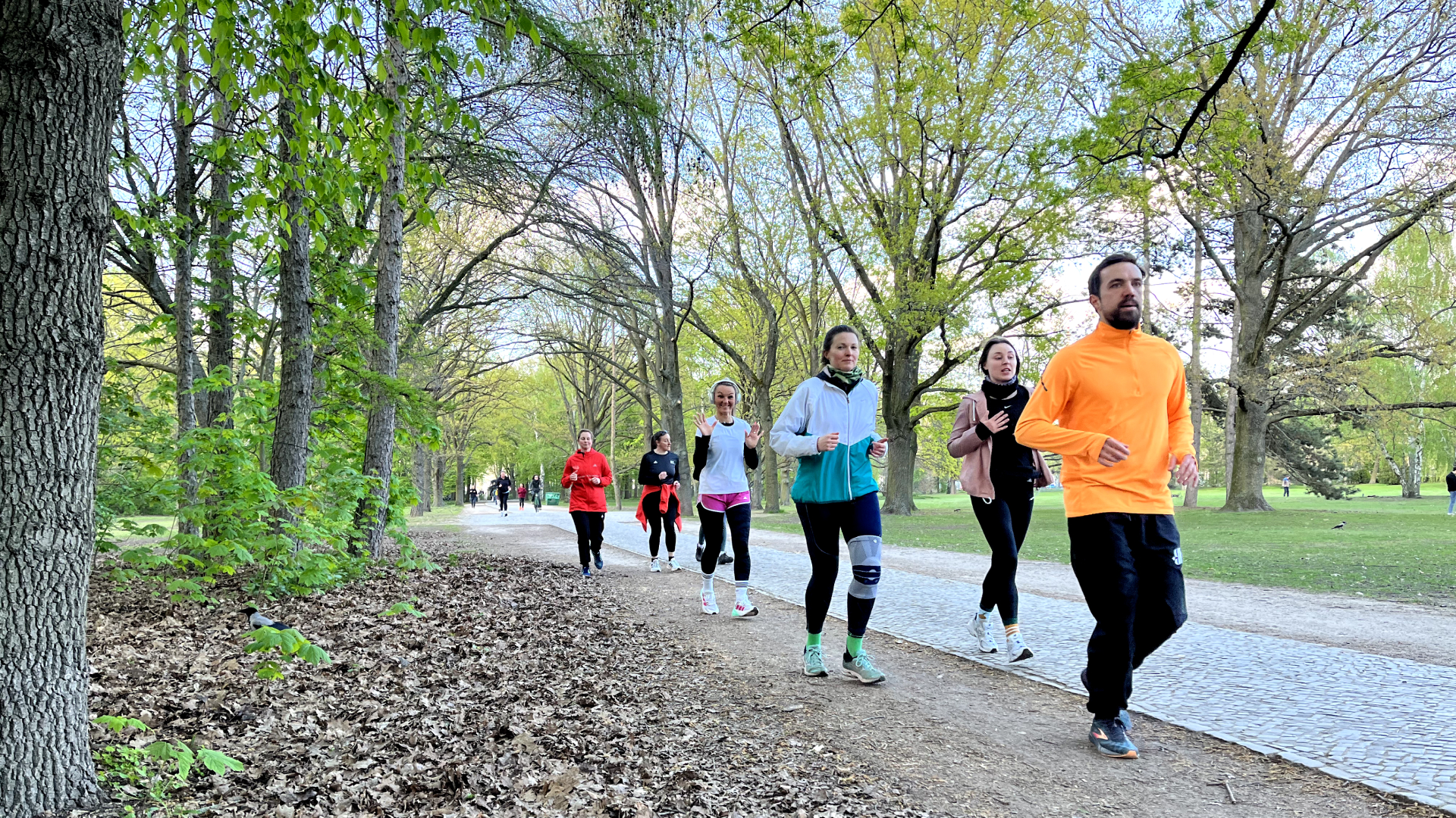 BMW BERLIN-MARATHON: Eine Laufgruppe trainiert im Park © SCC EVENTS